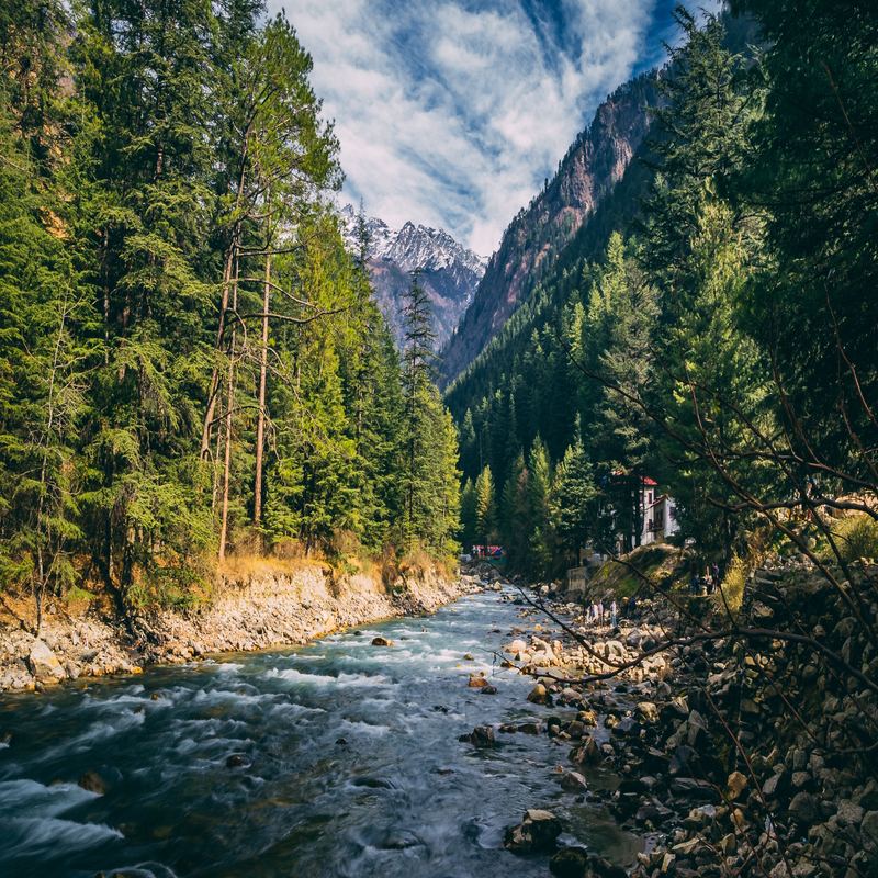 Manali & Kasol Group Tour